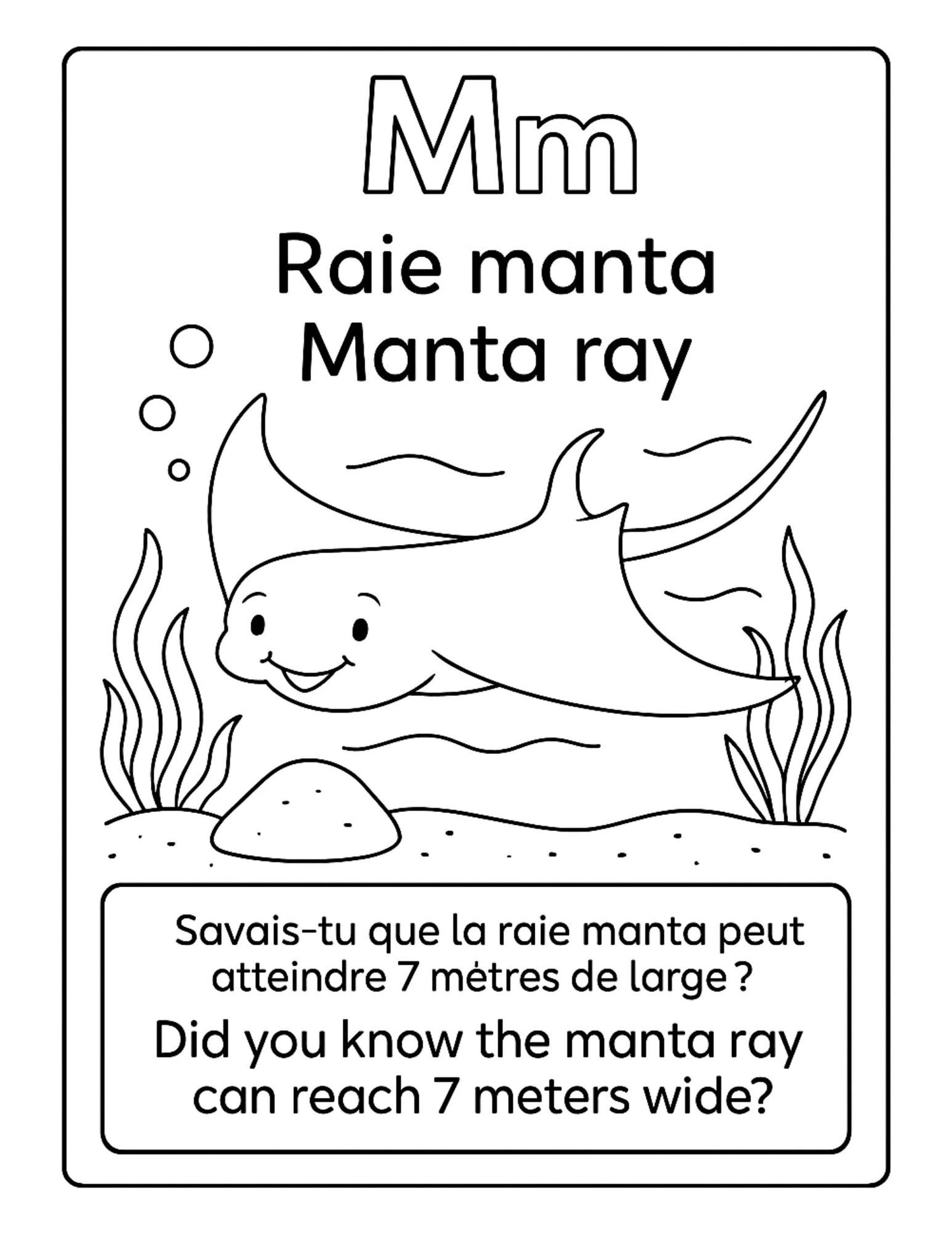 Livre à colorier A-Z – Animaux marins (FR/EN) personnalisé a imprimer