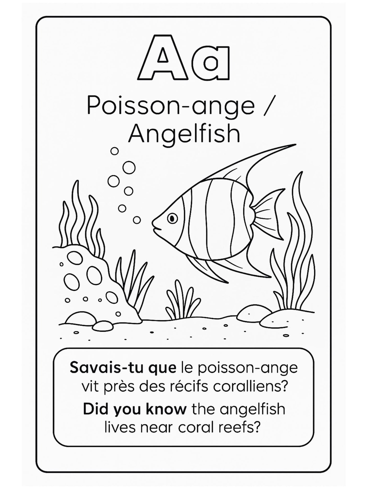 Livre à colorier A-Z – Animaux marins (FR/EN) personnalisé a imprimer