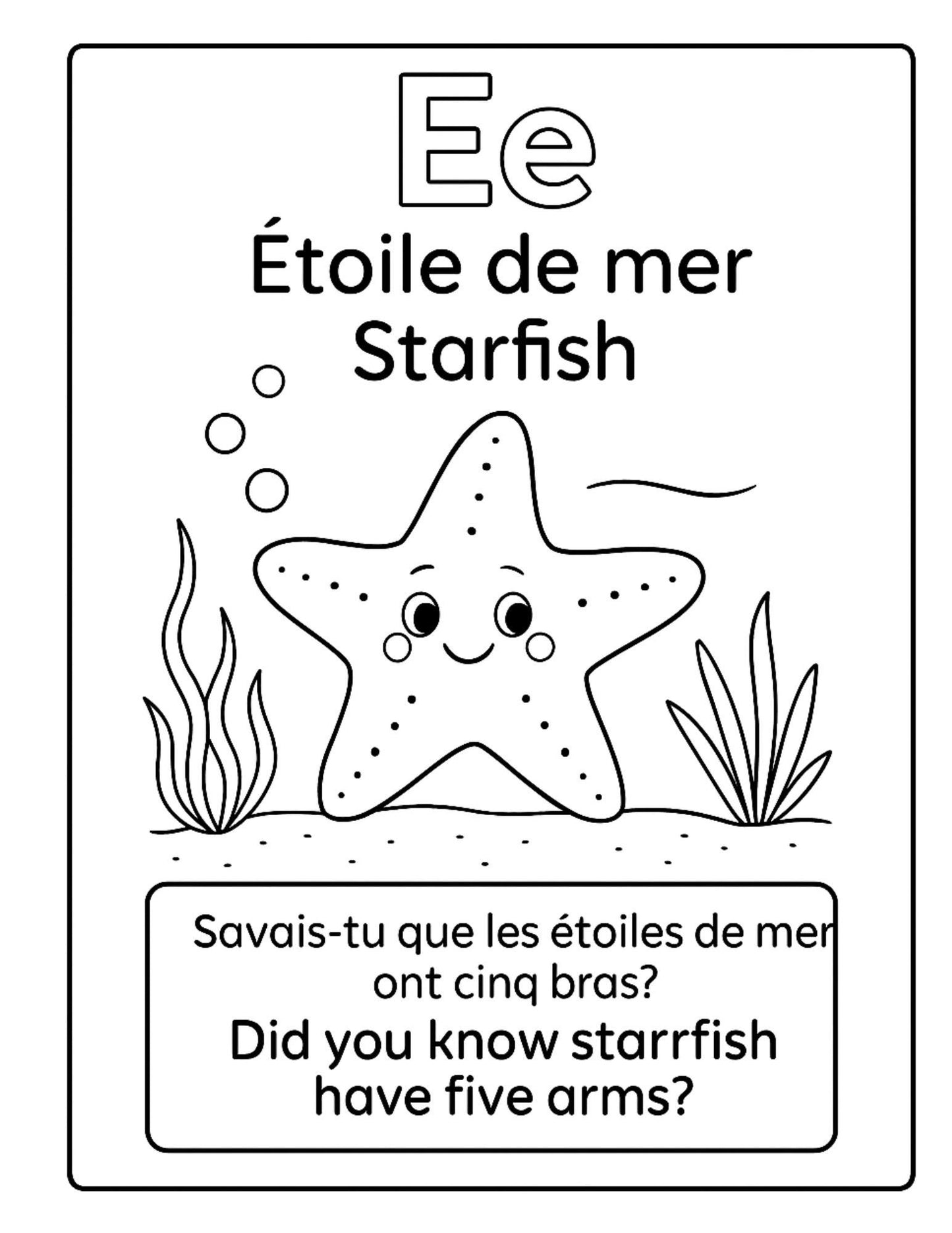 Livre à colorier A-Z – Animaux marins (FR/EN) personnalisé a imprimer